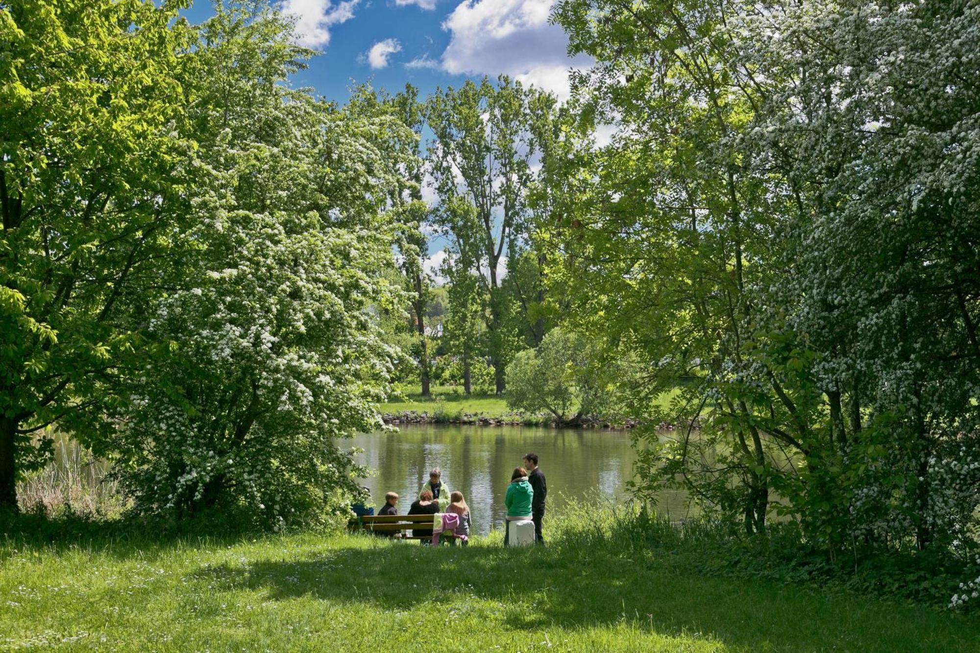 Knaus Campingpark Frickenhausen 프리켄하우젠 암 마인 외부 사진
